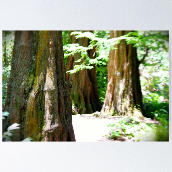 Item preview, Redwood Forrest designed and sold by savapavo.