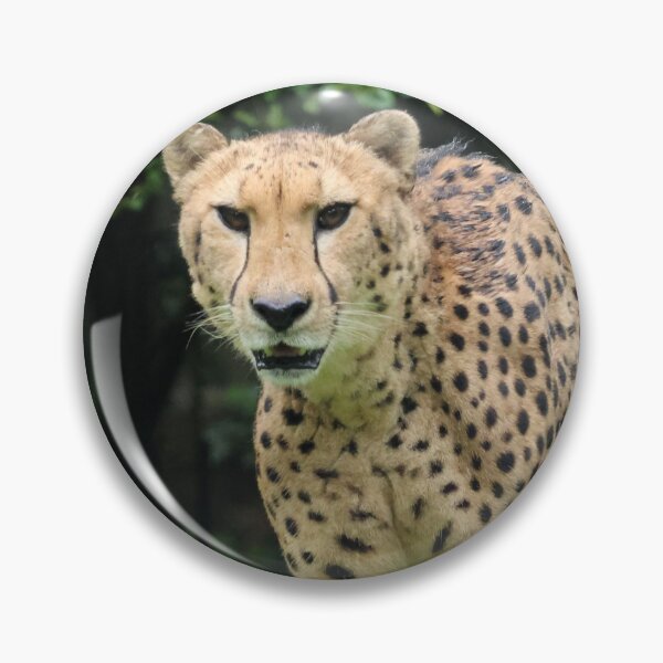 Item preview, Cheetah designed and sold by LeanneAllen.