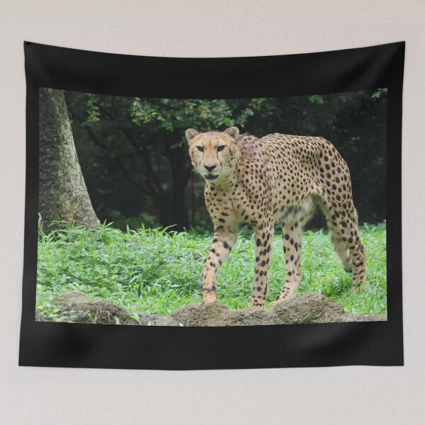 Item preview, Cheetah designed and sold by LeanneAllen.