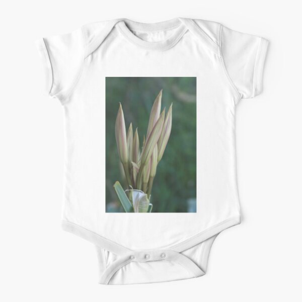 Daylily Maternity Bodysuit