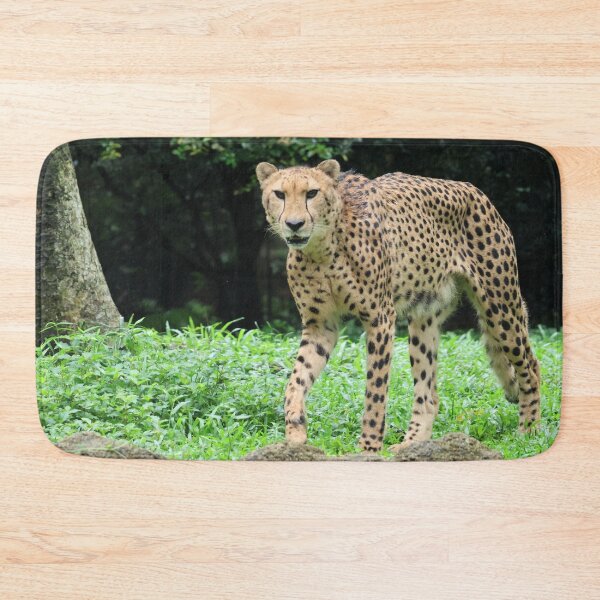 Item preview, Cheetah designed and sold by LeanneAllen.