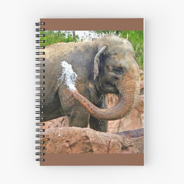 Item preview, Elephant squirting water designed and sold by QuackerSnaps.