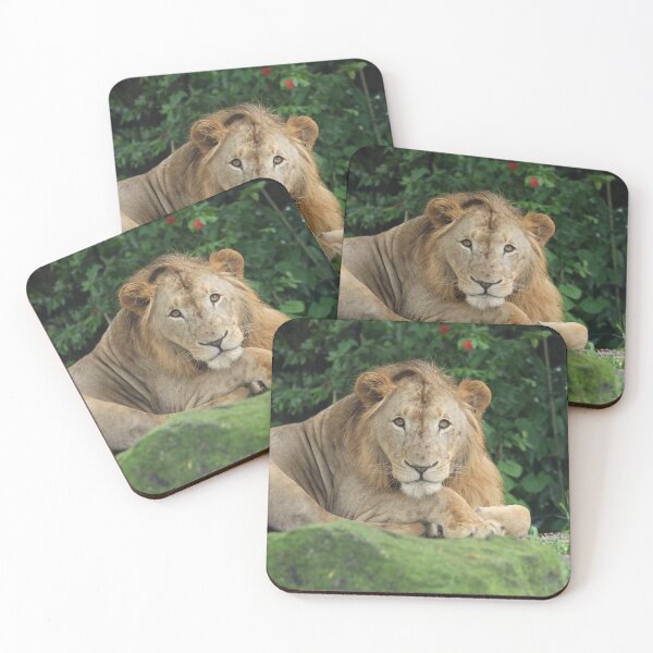 Item preview, The Young King designed and sold by LeanneAllen.