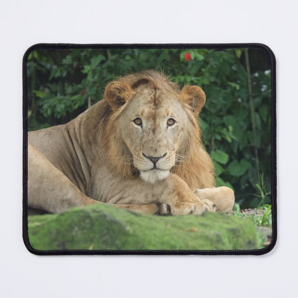 Item preview, The Young King designed and sold by LeanneAllen.
