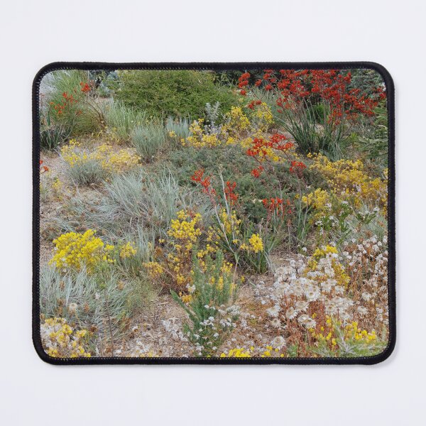 Item preview, Kings Park, Perth, Australia designed and sold by Pauline Tims.