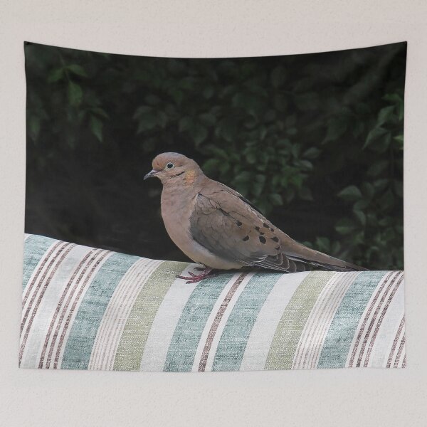 Item preview, Mourning Dove in the Morning! designed and sold by heatherfriedman.