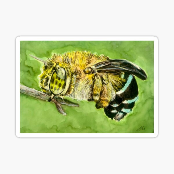 Save the Native Bees Sticker – Blue Aster Studio