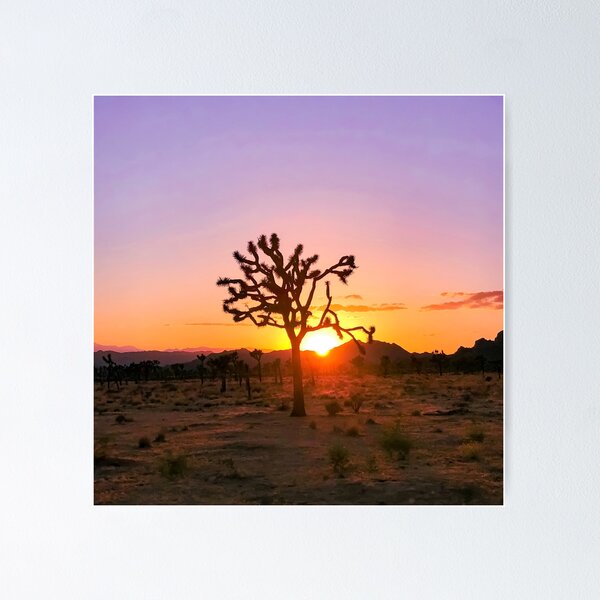 Item preview, Joshua Tree Purple and Orange Sunset designed and sold by She Explores The USA.