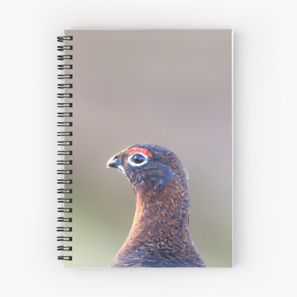 Item preview, male red grouse designed and sold by chanonry.