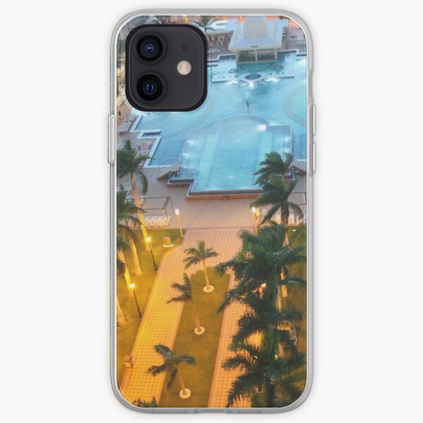 Aruba, resort, spa, health resort, 2017, pool, palm trees, hotel building iPhone Soft Case
