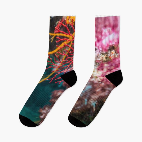 Item preview, Longnose Hawkfish on the sea fan  designed and sold by tank200bar.