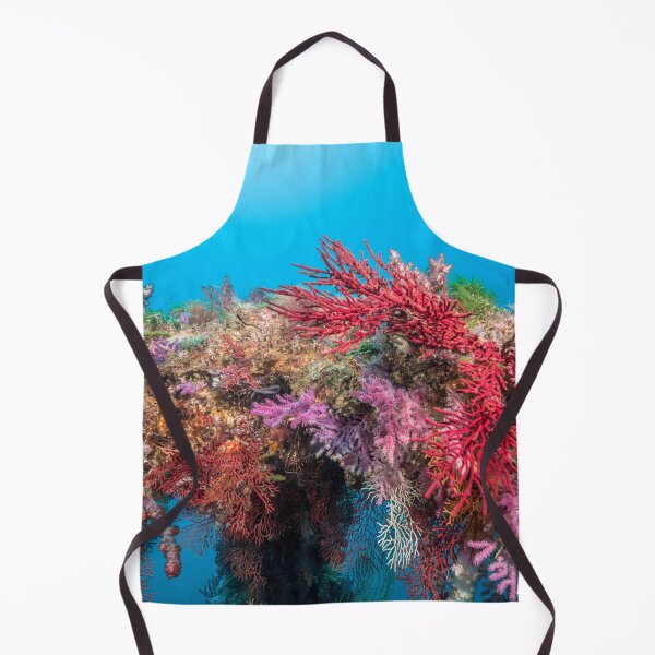 Item preview, Colorful artificial reef designed and sold by tank200bar.