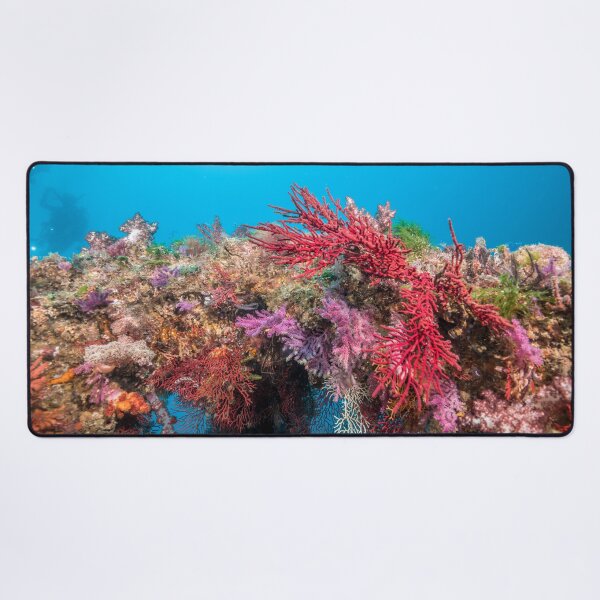 Item preview, Colorful artificial reef designed and sold by tank200bar.