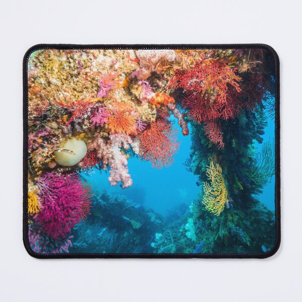 Item preview, Colorful fish reef designed and sold by tank200bar.