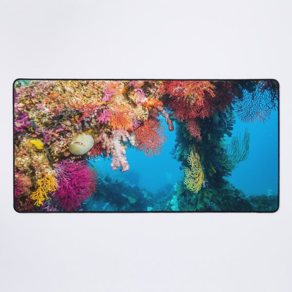 Item preview, Colorful fish reef designed and sold by tank200bar.