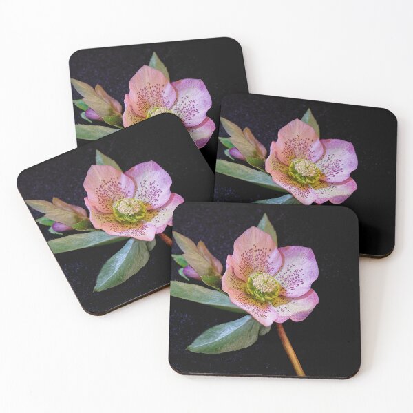 Item preview, Hellebore designed and sold by Pauline Tims.
