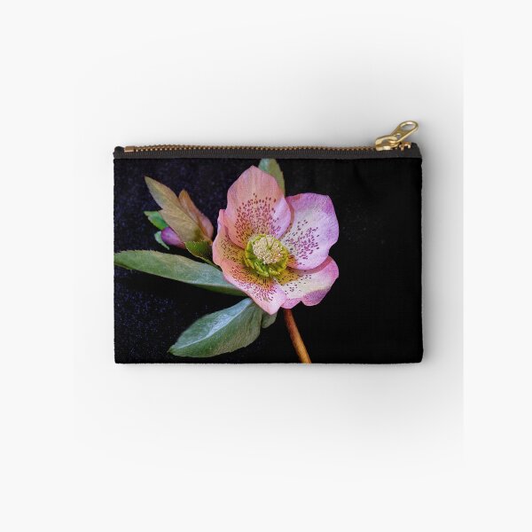 Item preview, Hellebore designed and sold by Pauline Tims.