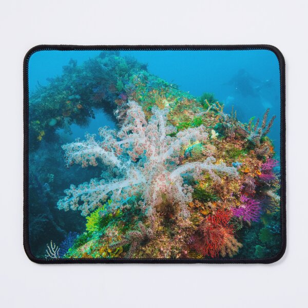 Item preview, Elegant soft coral on the fish reef designed and sold by tank200bar.