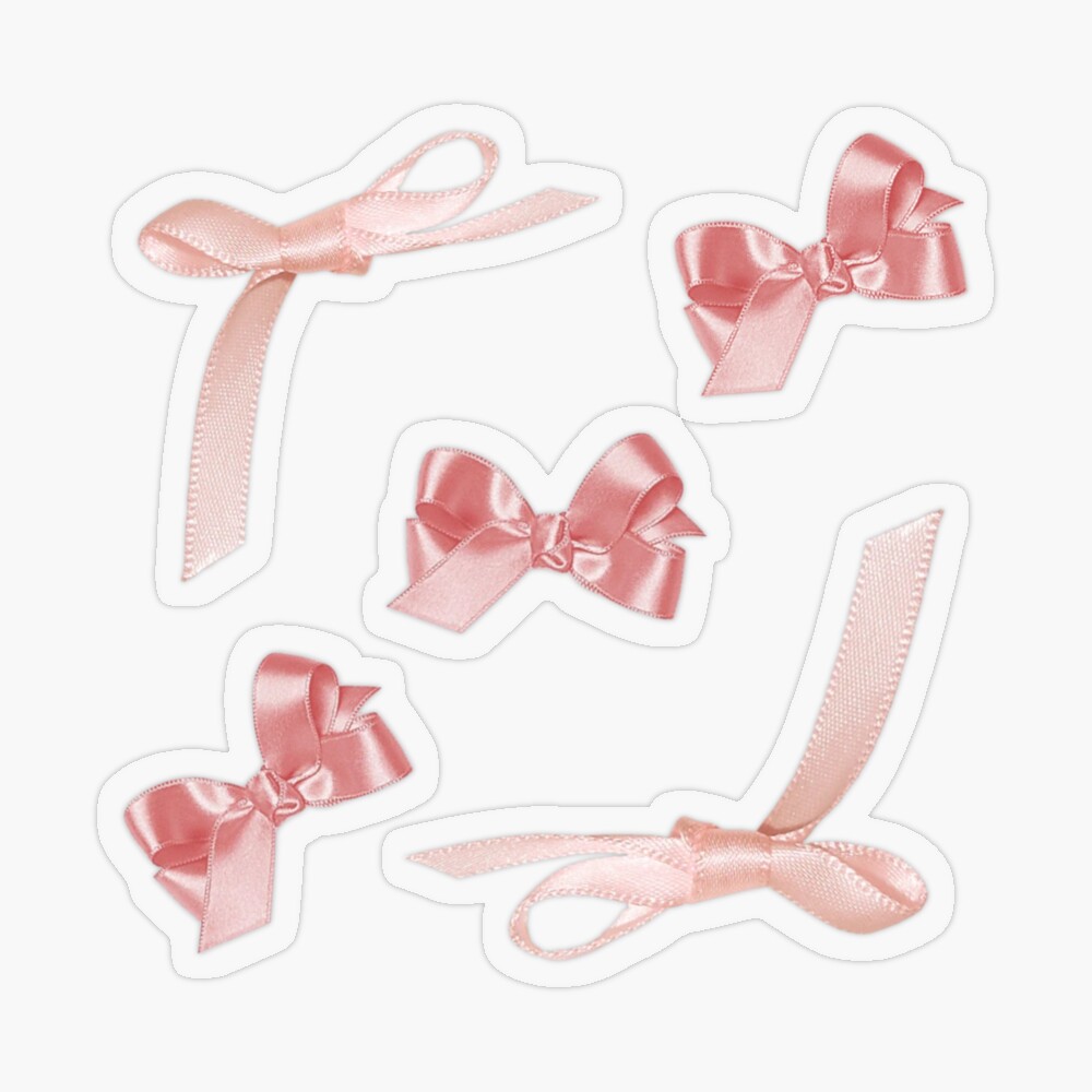 Coquette balletcore pink ribbon bow | Canvas Print