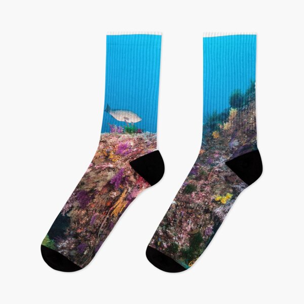 Item preview, Fantastic fish reef designed and sold by tank200bar.