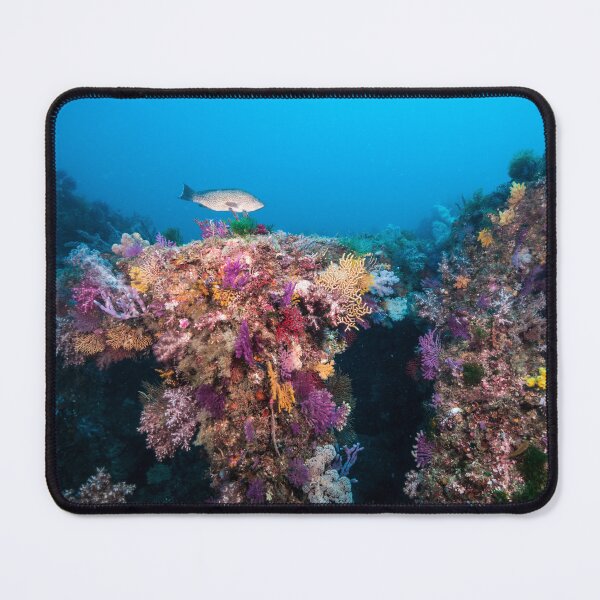 Item preview, Fantastic fish reef designed and sold by tank200bar.