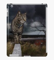 Cat walking the fence. iPad Case/Skin