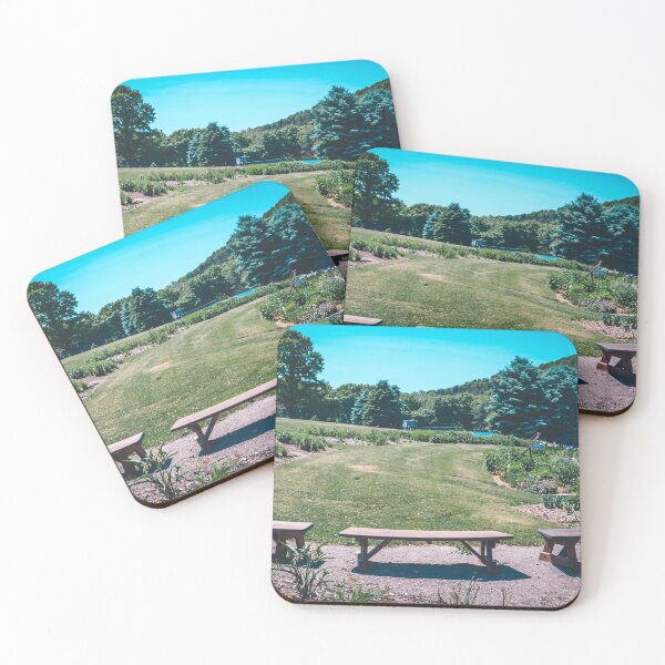 Item preview, Benches in a park garden designed and sold by Michael Deemer.