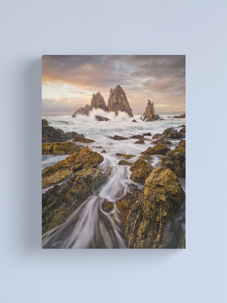 Canvas Print, Camel Rock Dawn, Bermagui, New South Wales, Australia designed and sold by Michael Boniwell