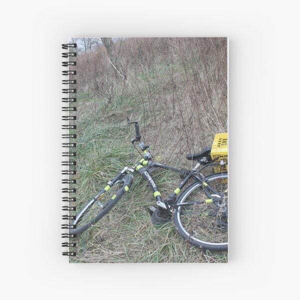 Bicycle, bushes, rare grass, autumn, outdoors, park, recreational area, New York. Spiral Notebook