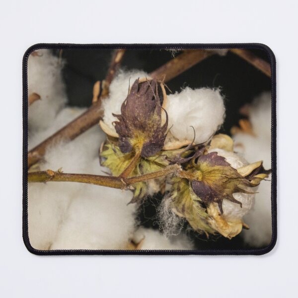 Item preview, Cotton Plant designed and sold by Pauline Tims.