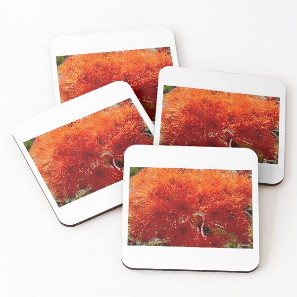 Item preview, Blaze of Orange Gum Flowers designed and sold by Angela Gannicott.
