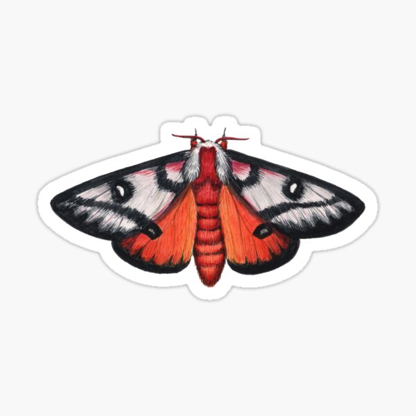Vista previa del artículo con la obra «Electra Buckmoth (Hemileuca electra)», diseñado y vendido por JadaFitch.