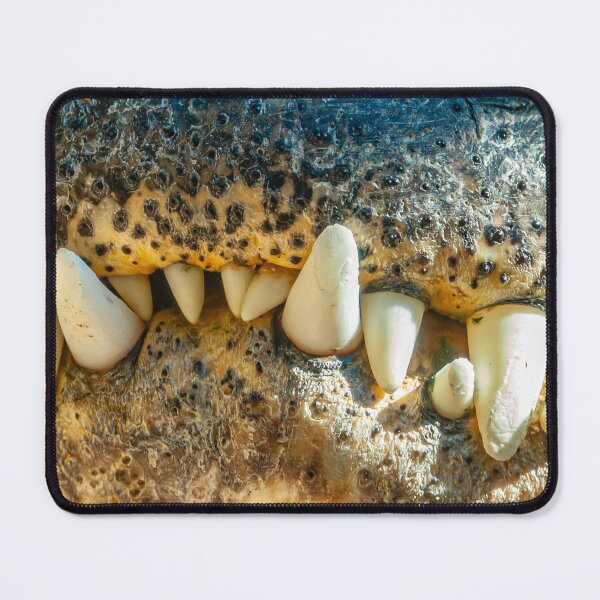 Item preview, Never smile at a Crocodile designed and sold by Dalyndigital Photography.