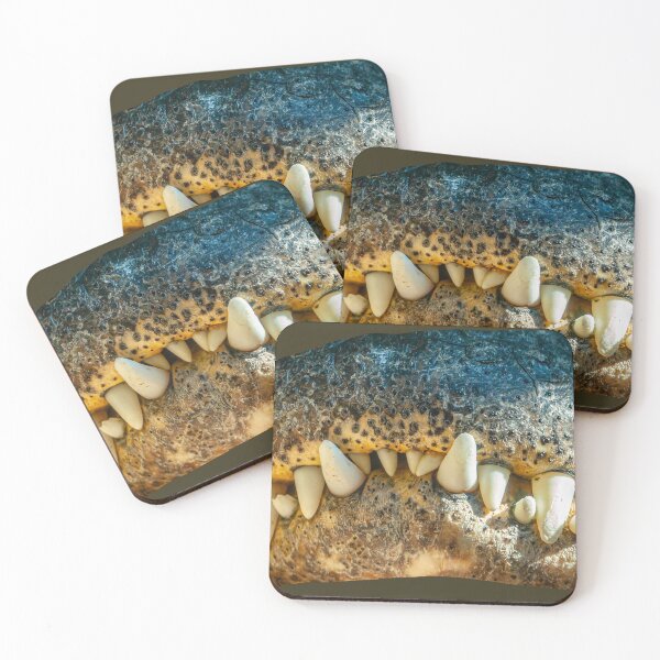 Item preview, Never smile at a Crocodile designed and sold by Dalyndigital Photography.