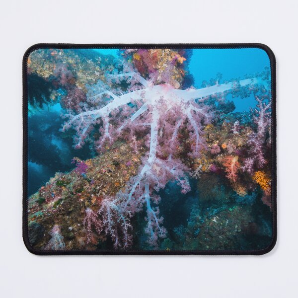 Item preview, soft coral like a tree designed and sold by tank200bar.