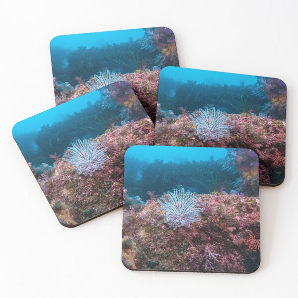 Item preview, a white feather star on the rock designed and sold by tank200bar.