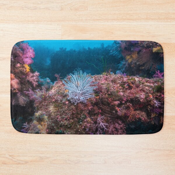 Item preview, a white feather star on the rock designed and sold by tank200bar.