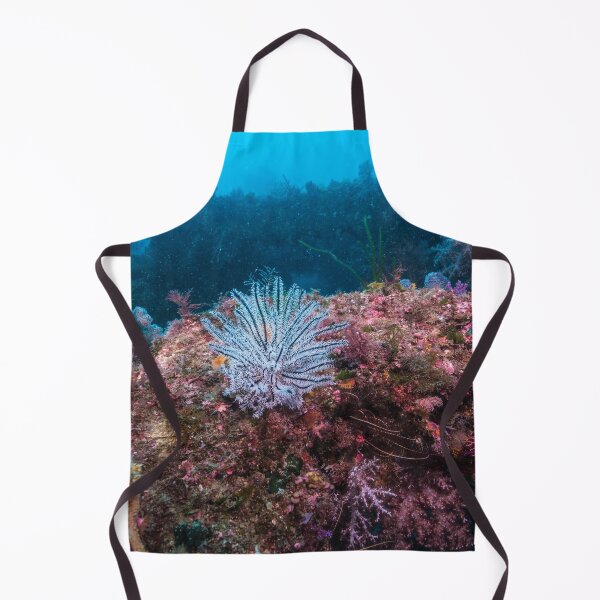 Item preview, a white feather star on the rock designed and sold by tank200bar.