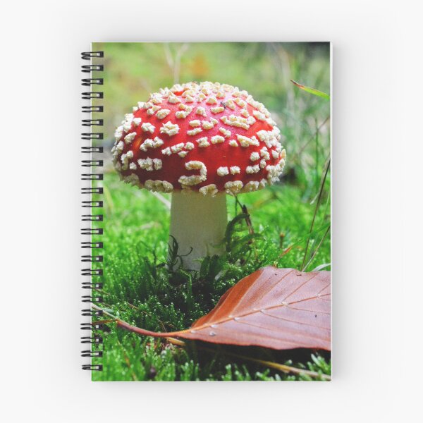 Item preview, Red Mushroom designed and sold by Trin4ever.