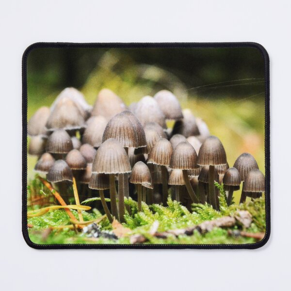 Item preview, Mushroom Cluster designed and sold by Trin4ever.