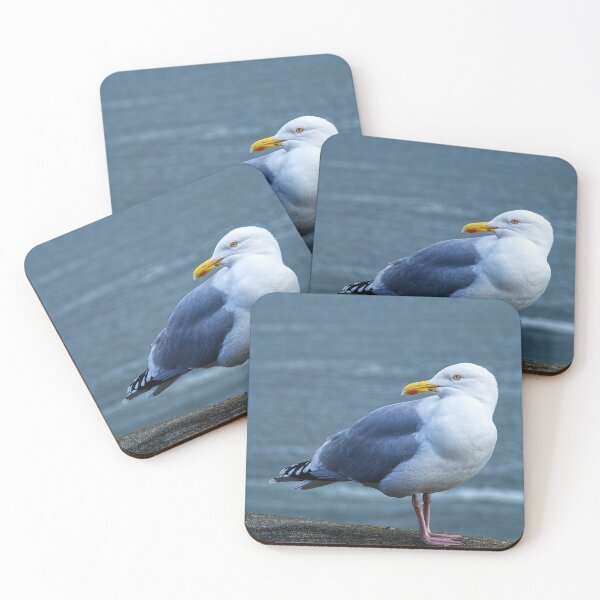 Item preview, Herring gull  designed and sold by days-photographic.