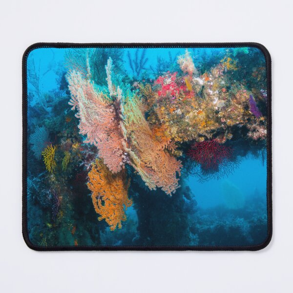Item preview, Fantastic colorful sea fan  designed and sold by tank200bar.