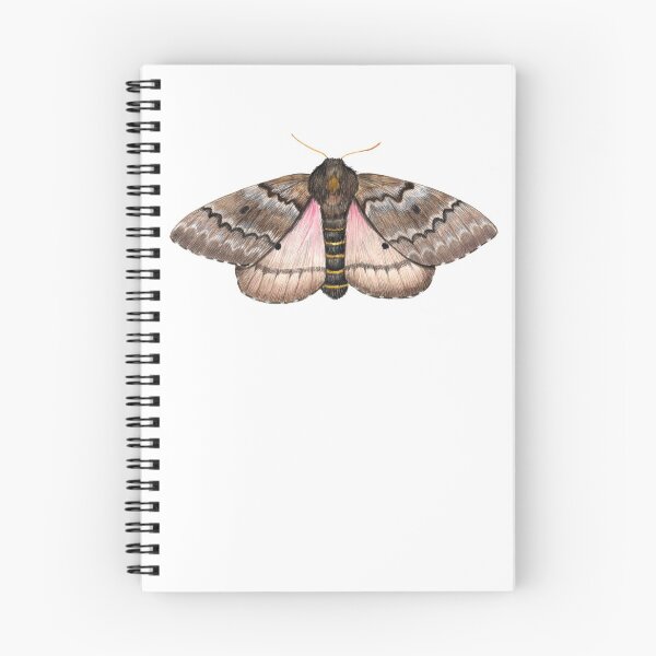 Item preview, Pandora Pinemoth (Coloradia pandora) designed and sold by JadaFitch.
