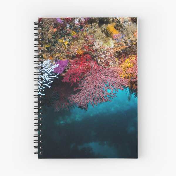 Item preview, Colorful sea fans designed and sold by tank200bar.