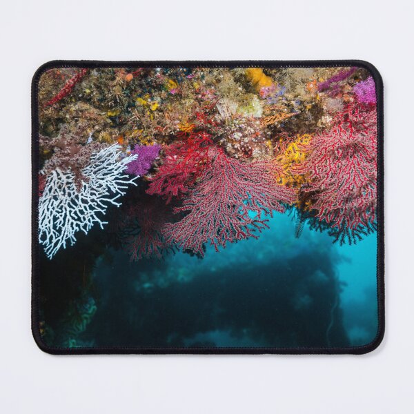 Item preview, Colorful sea fans designed and sold by tank200bar.