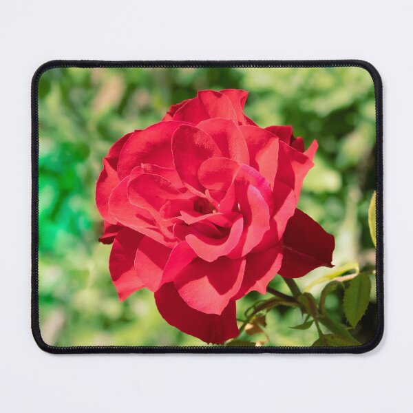 Item preview, China Rose designed and sold by Jacquiamber.