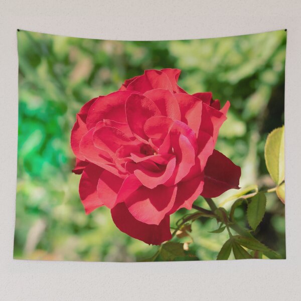 Item preview, China Rose designed and sold by Jacquiamber.