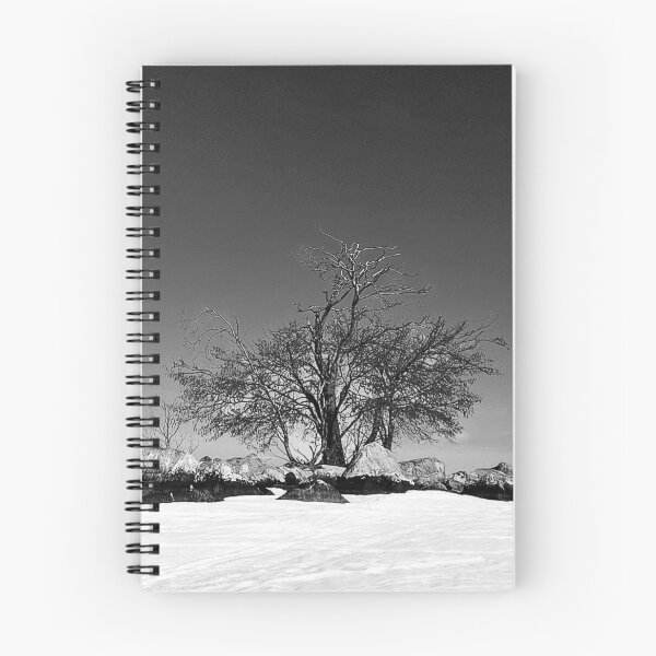 Item preview, BW island in arctic  designed and sold by theCutestthings.