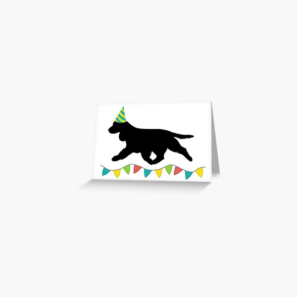 Cocker Spaniel (Black) Birthday Card Greeting Card