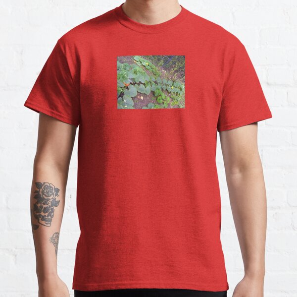 Pumpkin Foliage, Blossom & Fruit Classic T-Shirt